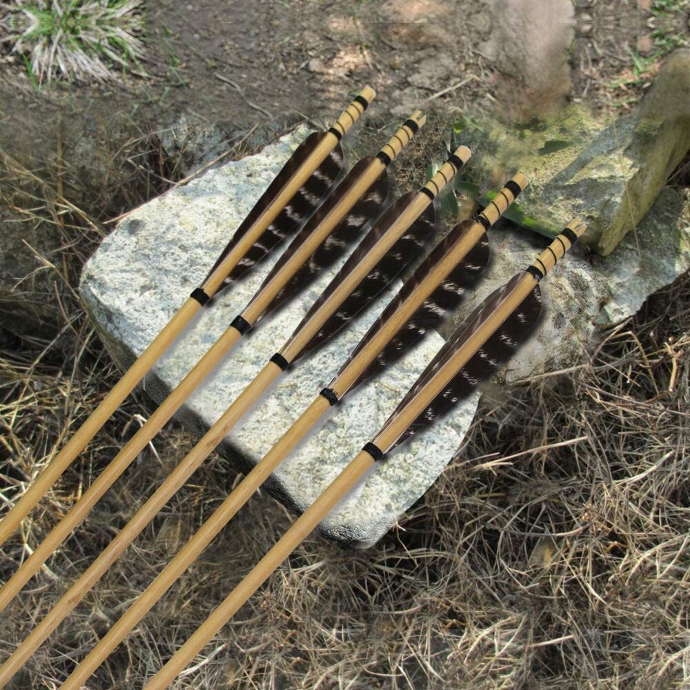 12 31.5" Field Point Feather Wood Practice Arrows