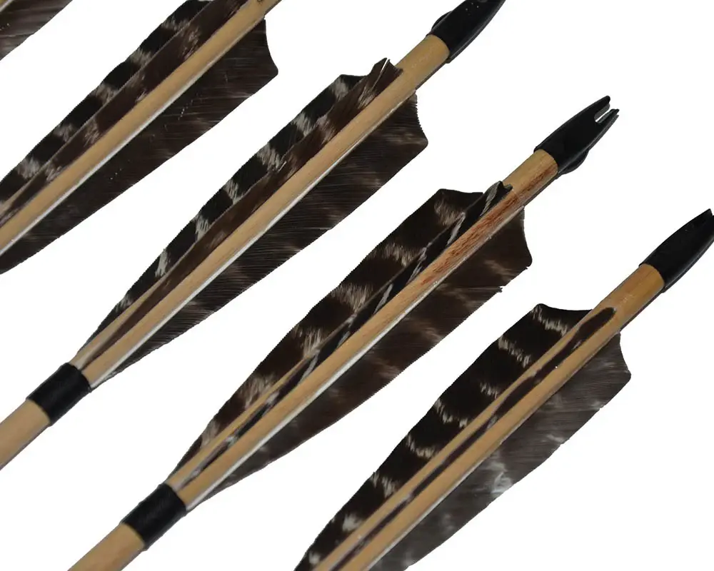12x 31.5" Shield Feather Wood Practice Arrows with Plastic Nocks Field Tips