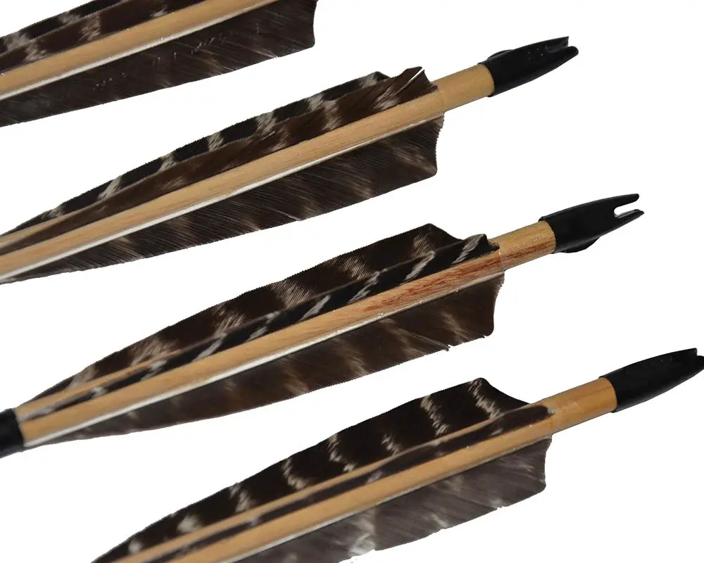 12x 31.5" Shield Feather Wood Practice Arrows with Plastic Nocks Field Tips