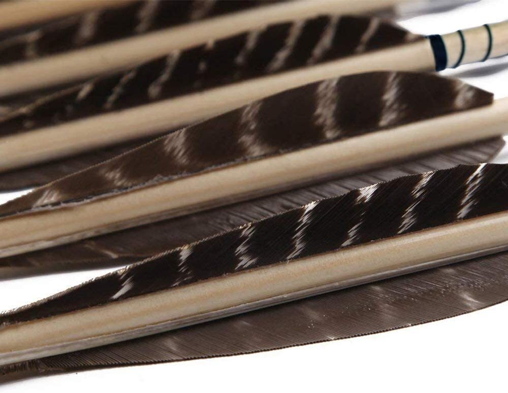 12 31.5" Field Point Feather Wood Practice Arrows