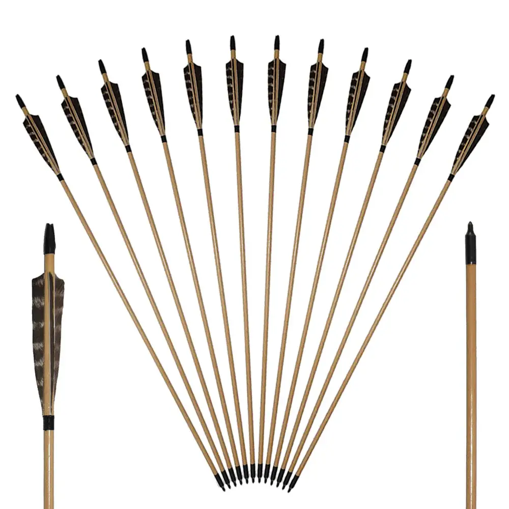 12x 31.5" Shield Feather Wood Practice Arrows with Plastic Nocks Field Tips